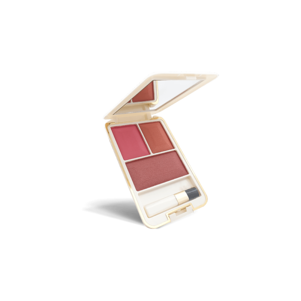 Glamorous Face 3 Color Diplomatic Blush On (6 Groups) – Group 06