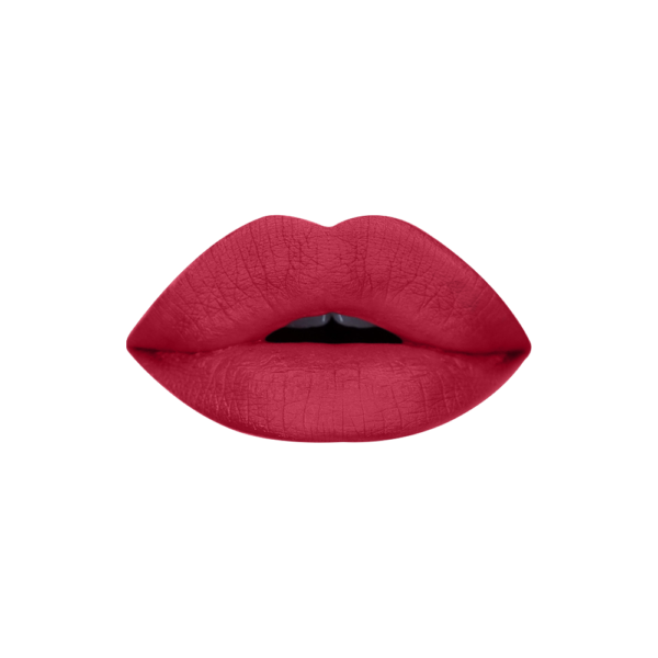 Color Institute Matte Lipstick Grill Cap - Shade No 411