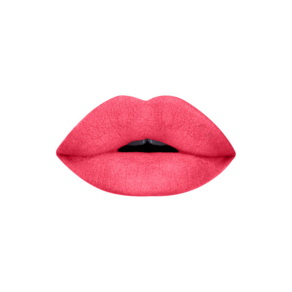 Color Institute Matte Lipstick Grill Cap - Shade No 412