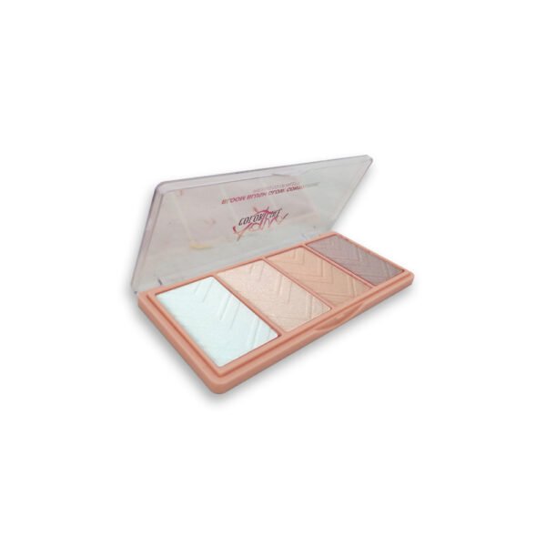 Aqua Color Line 4 Color Bloom Blush ON Glow, Highlighter & Contouring Kit - Group C - Image 2