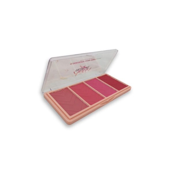 Aqua Color Line 4 Color BAqua Color Line 4 Color Bloom Blush ON Glow, Highlighter & Contouring Kit - Group A - Image 2